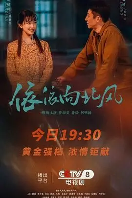 《依依向北风》：一场关于爱、失去与人生选择的刻骨铭心之旅