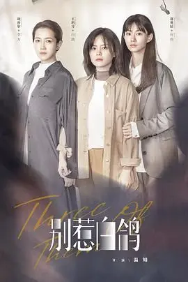 《别惹白鸽》：当平凡生活被打破，一场关于“烟火气”的守护与反抗，八卦爆料下的真相有多惊人？