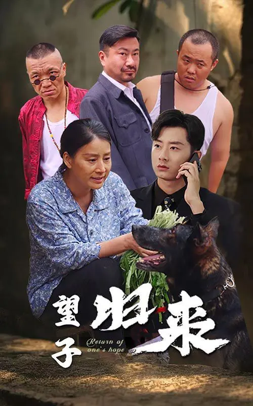 《望子归来》：别只顾着卷，这《人生选择》才叫真绝望！